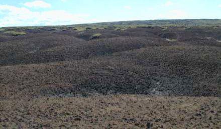 Exposed peat over the Y-Lobe