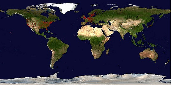 GeoURL World Map - Click for Larger Version 