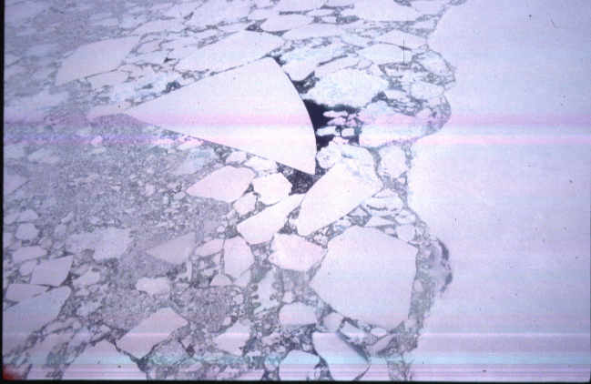 Aerial view
 of a sea-ice pack in the Antarctic